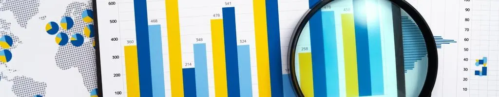 Shopify report personalizzati
